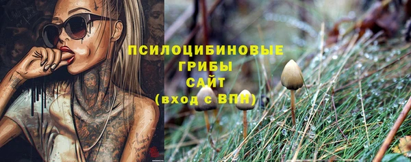 СК Абдулино