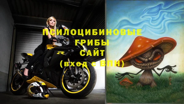 СК Абдулино