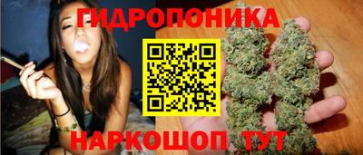 наркотики Заводоуковск