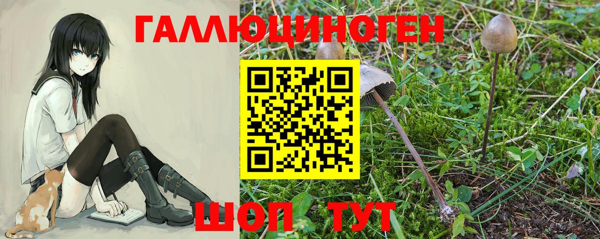 Псилоцибиновые грибы Cubensis Екатеринбург
