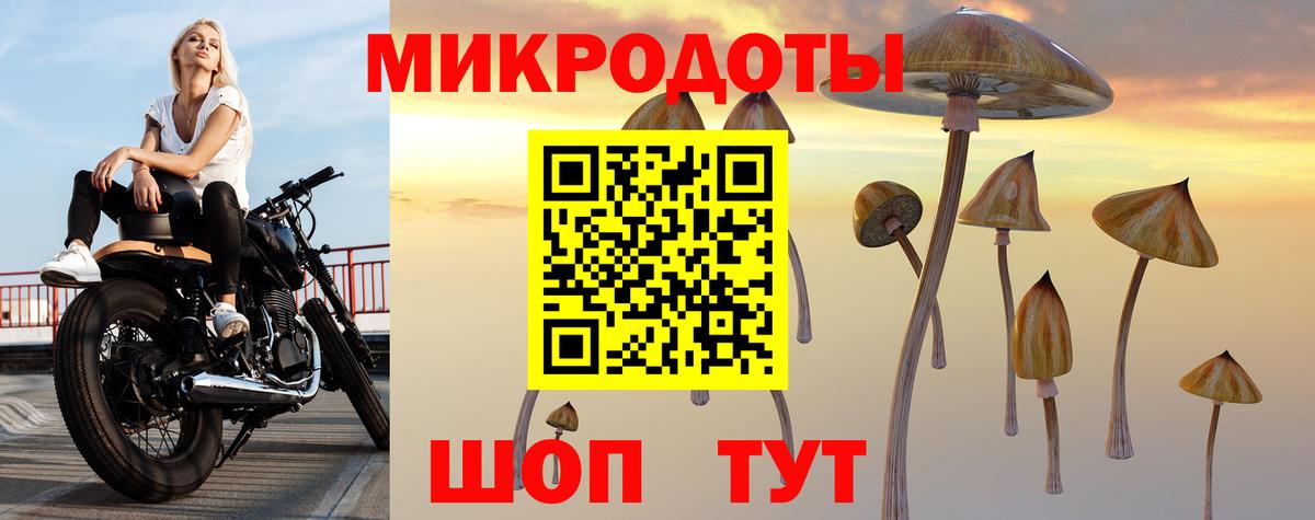 Екатеринбург  Галлюциногенные грибы Psilocybine cubensis  Вход с VPN 